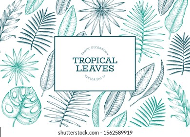 Tropical plants frame design. Hand drawn tropical summer exotic leaves illustration. Jungle leaves, palm leaves engraved style. Vintage background design