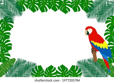 tropical plants frame and Scarlet macaw