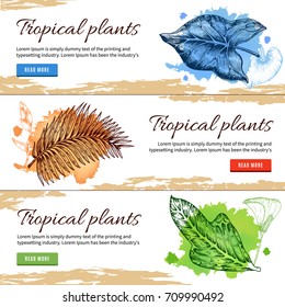 Tropical plants hand drawn banners with leaves in different colors on beige white background isolated vector illustration