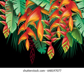 Tropical plants Heliconia and flowers on black