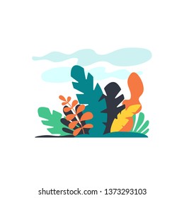 Tropical Plants isolated vector illustration. Trendy jungle leaves. Exotic background in flat style