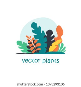 Tropical Plants isolated vector illustration. Trendy jungle leaves. Exotic background in flat style