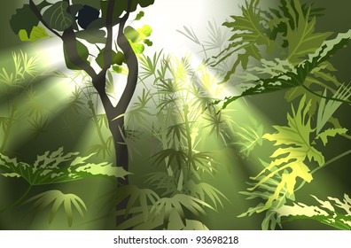 tropical plants (tropical jungle) - Shutterstock ID 93698218