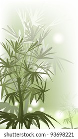 tropical plants (tropical jungle)