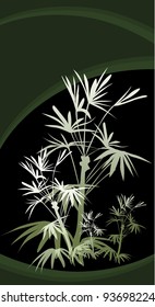 tropical plants (tropical jungle)