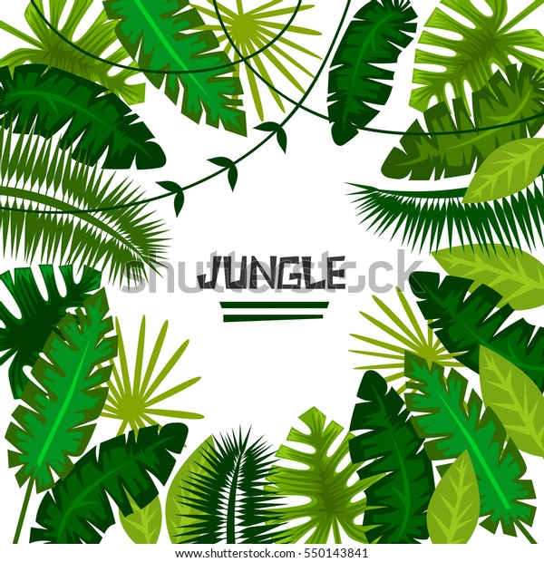 熱帯植物 ジャングル ベクターイラスト フレーム のベクター画像素材 ロイヤリティフリー