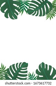 Tropical plants, leaves background frame