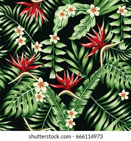 Tropical plants leaves and flowers of the frangipani plumeria and the bird of paradise. Seamless beach pattern on black background wallpaper