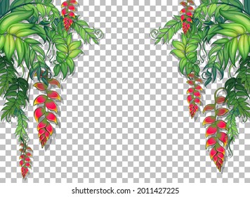 Tropical plants and leaves on transparent background illustration