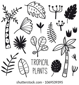 Tropical plants and leaves set. Vector collection of doodle hand drawn tropical flowers, palm leaves, jungle plants. Black and white exotic floral illustration.  