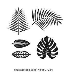 Tropical Plants Leaves Set, Vector Graphic Art Shape, Design Logo Elements, Illustration Isolated On White Background.