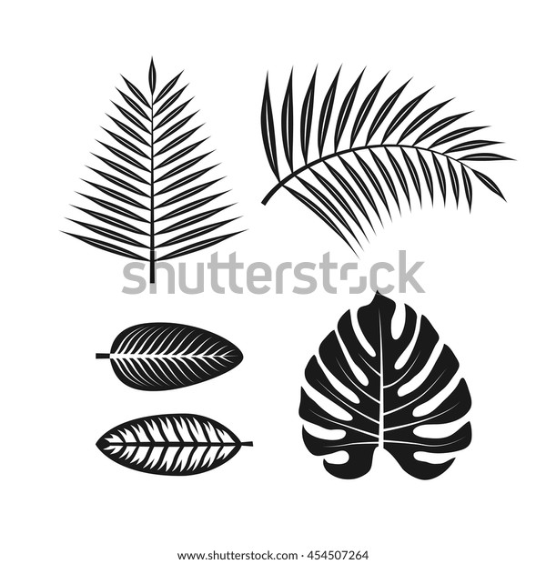 Vektor Stok Tropical Plants Leaves Set Vector Graphic Tanpa Royalti 454507264 Shutterstock