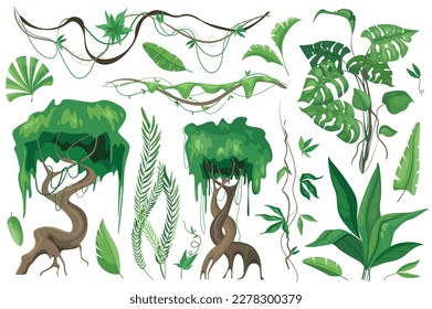 Tropical plants and lianes set graphic elements in flat design. Bundle of different type exotic trees and leaves, wild flora and other green jungle foliage. Vector illustration isolated objects