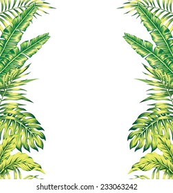 tropical plants mirror background