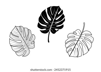 Tropische Pflanzen. In: Monstera Leaf. Vektorsymbole.