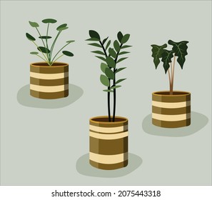 Tropical plants on pot illustration