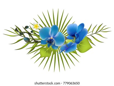 Tropical plants. Orchids. Flowers. Vector illustration. Exotic leaves.