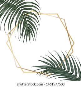 Tropical plants, palm leaf, template for cards, invitations, posters, booklet, vector illustration