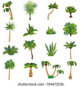 Tropical plants and palm trees set, lush forest . Flat style. Isolated. Vector rainforest jungle plants, trees, shrubs, bushes, Summer beach resort  decoration
