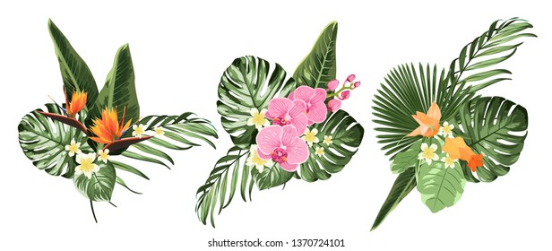 Tropical plants, philodendron monstera jungle rainforest tree leaves and flowers set. Exotic illustrations, floral elements, Hawaiian bouquet for greeting card, orchid, strelitzia bird of paradise