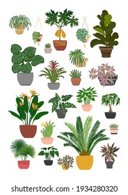 Tropical plants in pots home decor. Vector drawings of flat flowers.