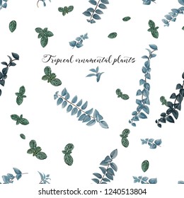 Tropical   plants seamless pattern