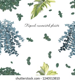 Tropical   plants seamless pattern