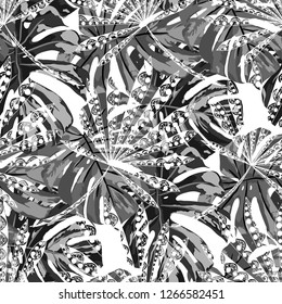 Tropical Plants. Seamless Pattern with Australian Rainforest. Vintage Black and White Texture for Print, Swimwear, Underwear. Vector Tropical Pattern.