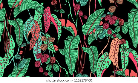 Tropical plants seamless pattern, Bird of paradise, Begonia Maculata and Hoya obovata on black background