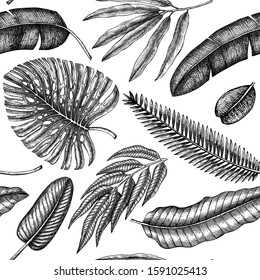 Tropical plants seamless pattern. Vector background with hand drawn monstera, banana palm, date palm  and bird of paradise flowers leaves. Exotic plant backdrop with black botanical elements. 