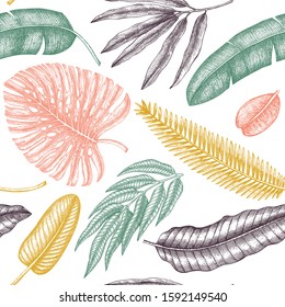 Tropical plants seamless pattern. Vector background with hand drawn monstera, banana palm, date palm  and bird of paradise flowers leaves. Exotic plant backdrop with colorful botanical elements. 