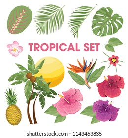 Tropical plants set for design