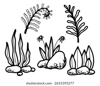 Tropical plants set. Hand drawn vector illustration. Exotic nature landscape. Fern leaves. Grass, foliage, flowers, stones. Doodle line art elements collection.