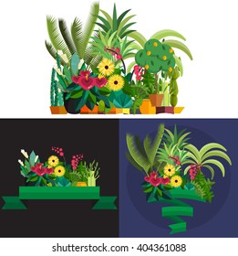 tropical plants set isolated vector illustration, summer nature botany background design with leaf, home cactus flower in pot, green potted palm tree, garden peyote natural exotic wood decoration