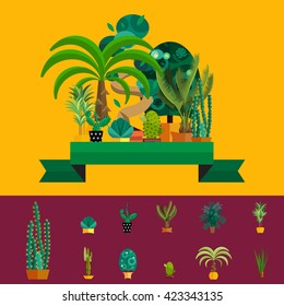 tropical plants set isolated vector illustration, summer nature botany background design with leaf, home cactus flower in pot, green potted palm tree, garden peyote natural exotic wood decoration