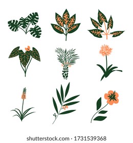 Tropical plants simple vector set