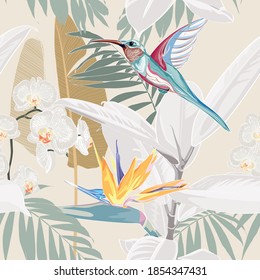 Tropical plants, strelitzia and Colibri bird. Seamless tropical pattern, vintage background. Backdrop with palm bananas leaves, bird and flowers.