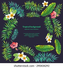 tropical plants. vector background
