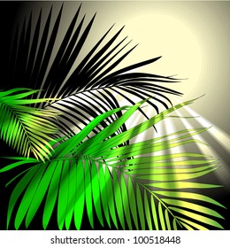 tropical plants (vector drawing nature)