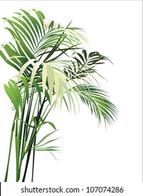 tropical plants (vector drawing nature)