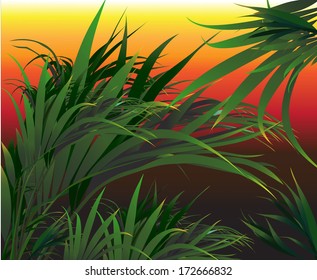 Tropical Plants (vector Drawing Nature)