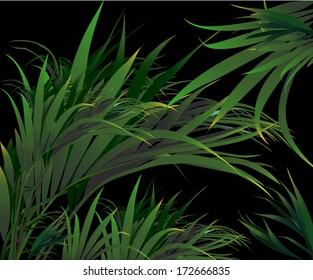 Tropical Plants (vector Drawing Nature)