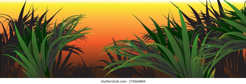 tropical plants (vector drawing nature)