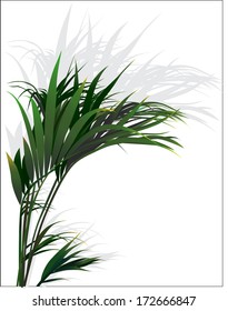 Tropical Plants (vector Drawing Nature)