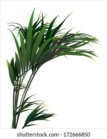 Tropical Plants (vector Drawing Nature)