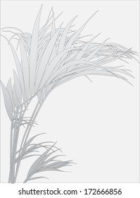tropical plants (vector drawing nature)