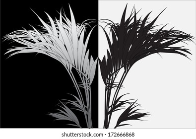 tropical plants (vector drawing nature)