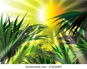 tropical plants (vector drawing nature )