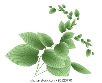 tropical plants (vector drawing nature)