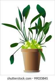 tropical plants (vector drawing nature)